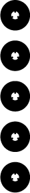 다섯 알